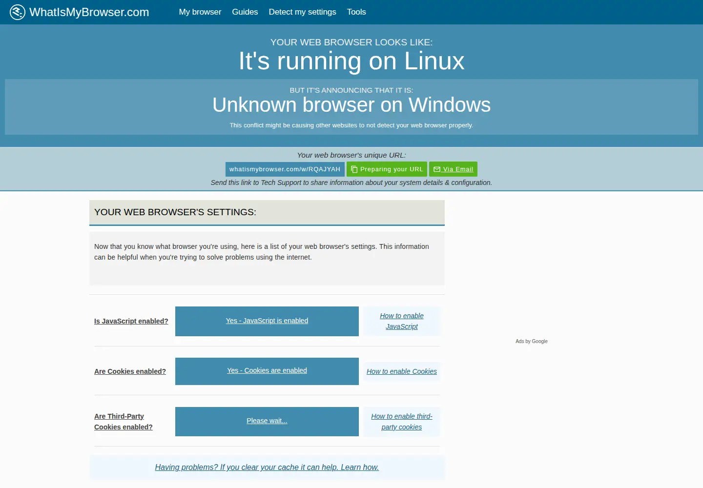 Screenshot of whatismybrowser.com