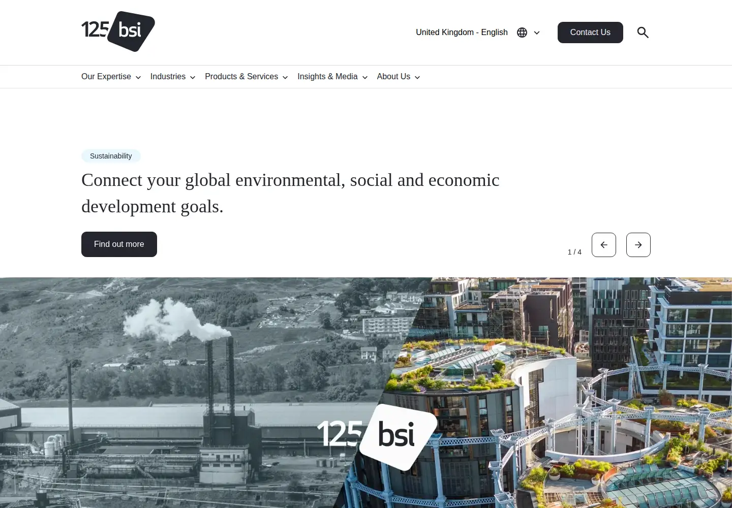 Screenshot of bsigroup.com