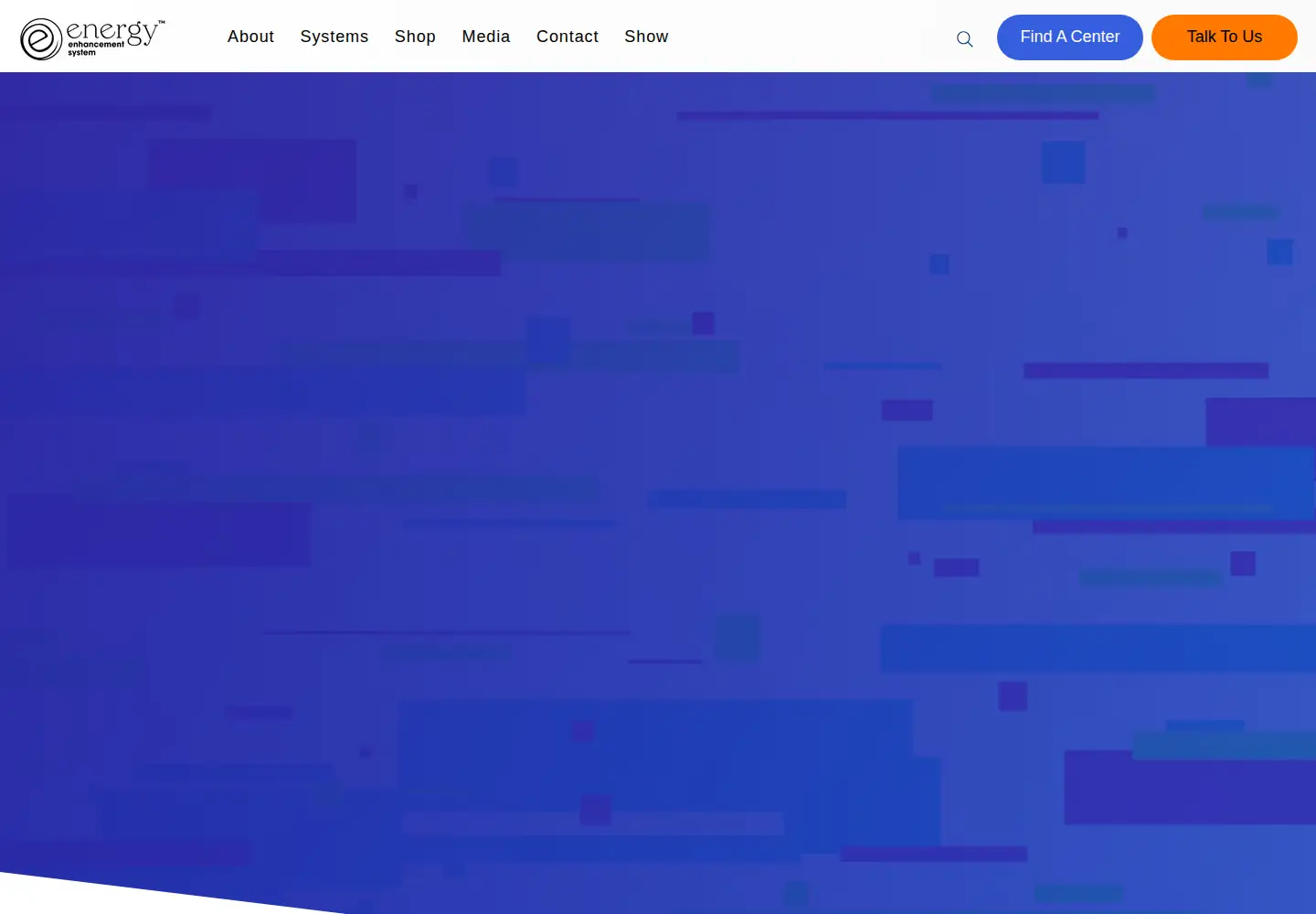 Captured homepage of eesystem.com in the current scan