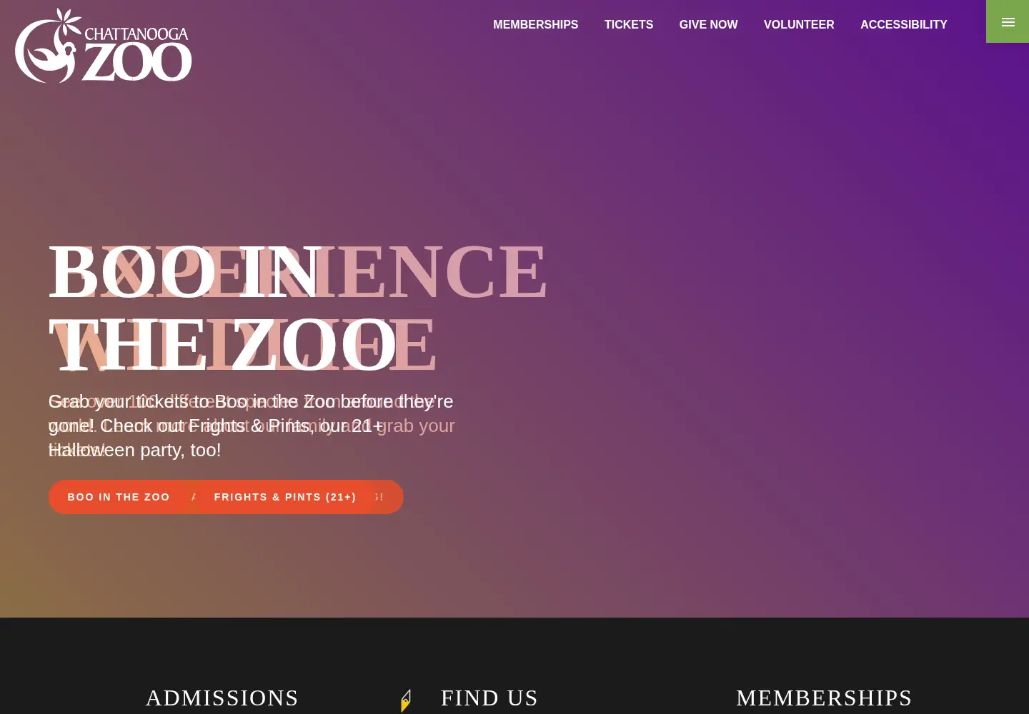 Captured homepage of chattzoo.org in the current scan