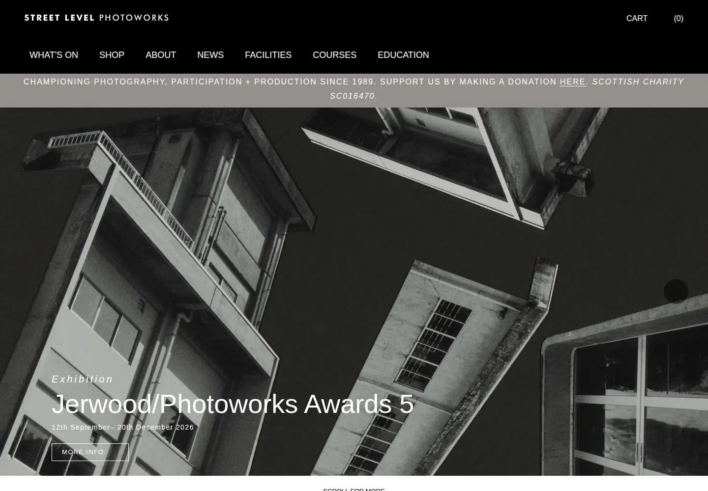 Captured homepage of streetlevelphotoworks.org in the current scan