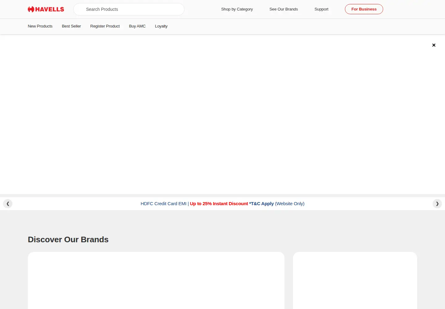 Captured homepage of havells.com in the current scan