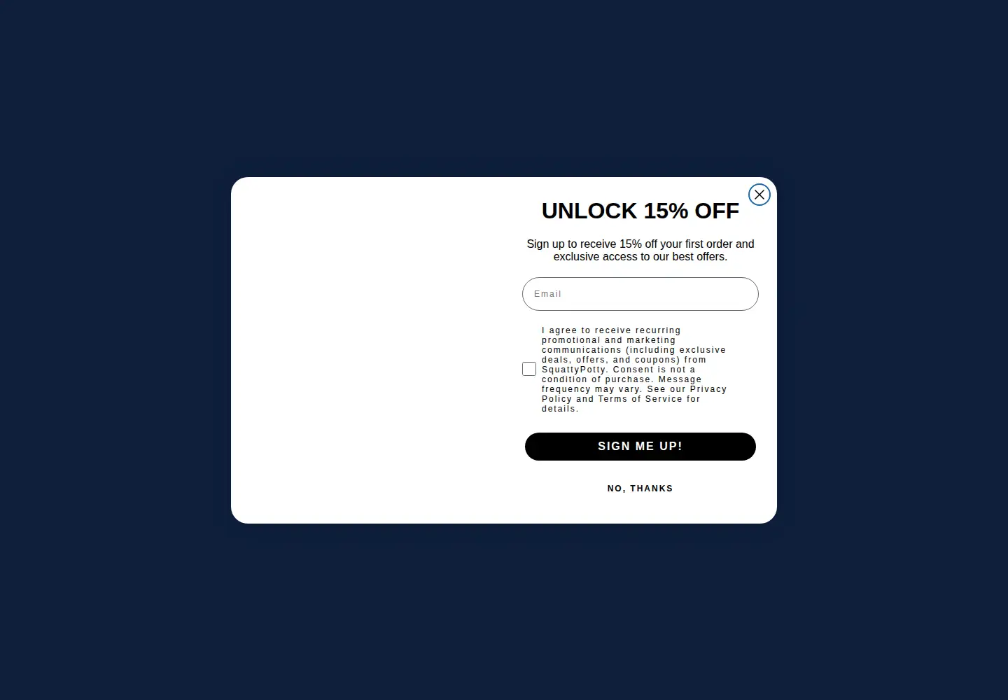 Screenshot of squattypotty.com