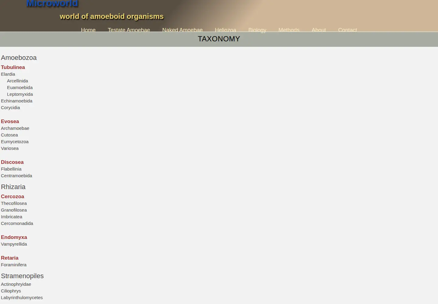 Screenshot of arcella.nl