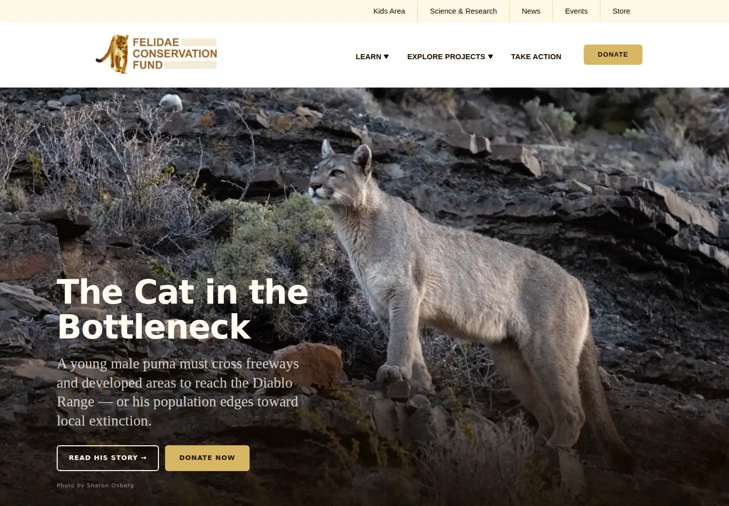 Screenshot of felidaefund.org