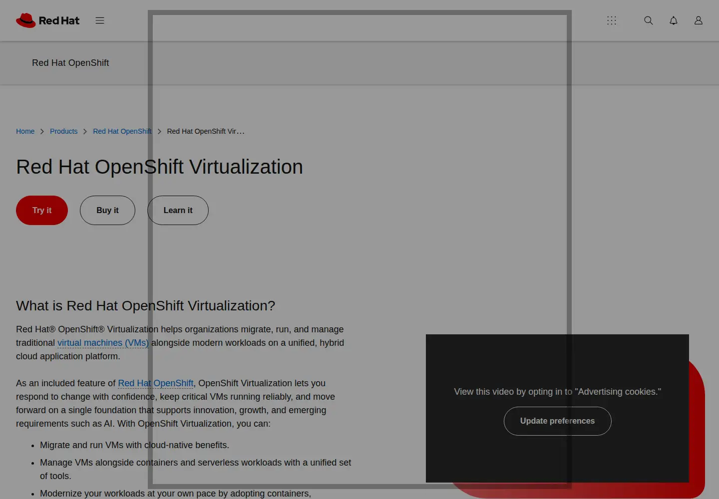 Screenshot of qumranet.com