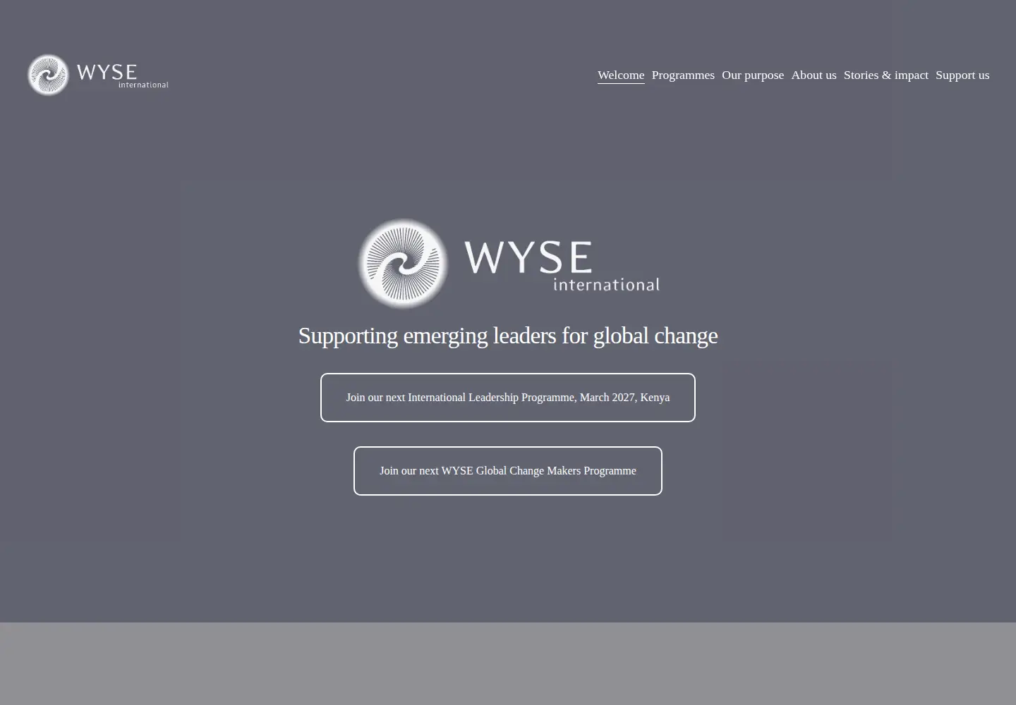Screenshot of wyse-ngo.org