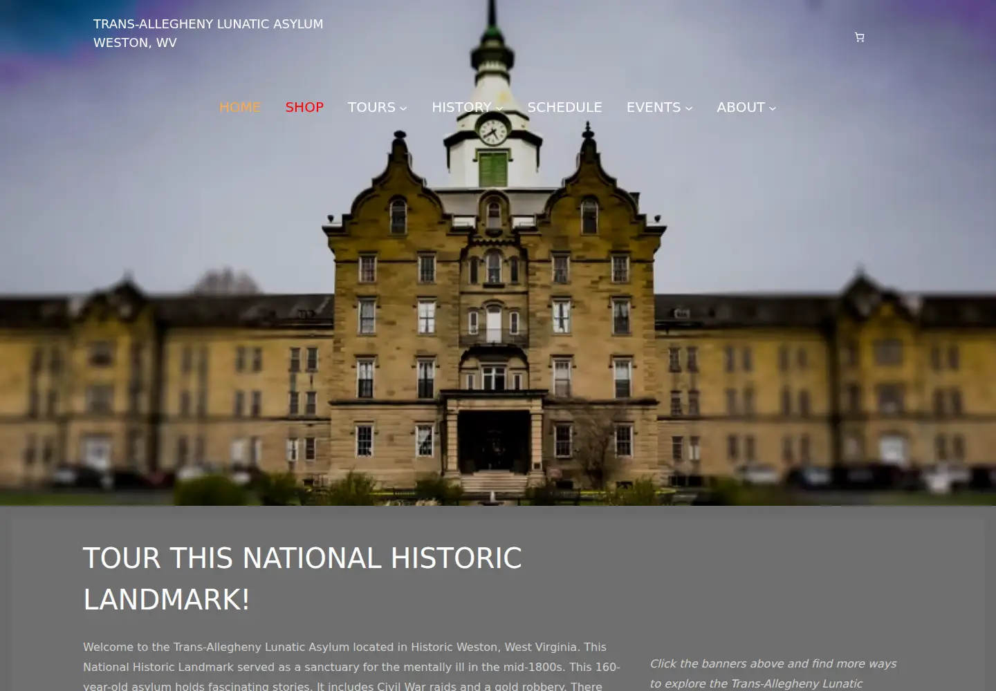 Captured homepage of trans-alleghenylunaticasylum.com in the current scan
