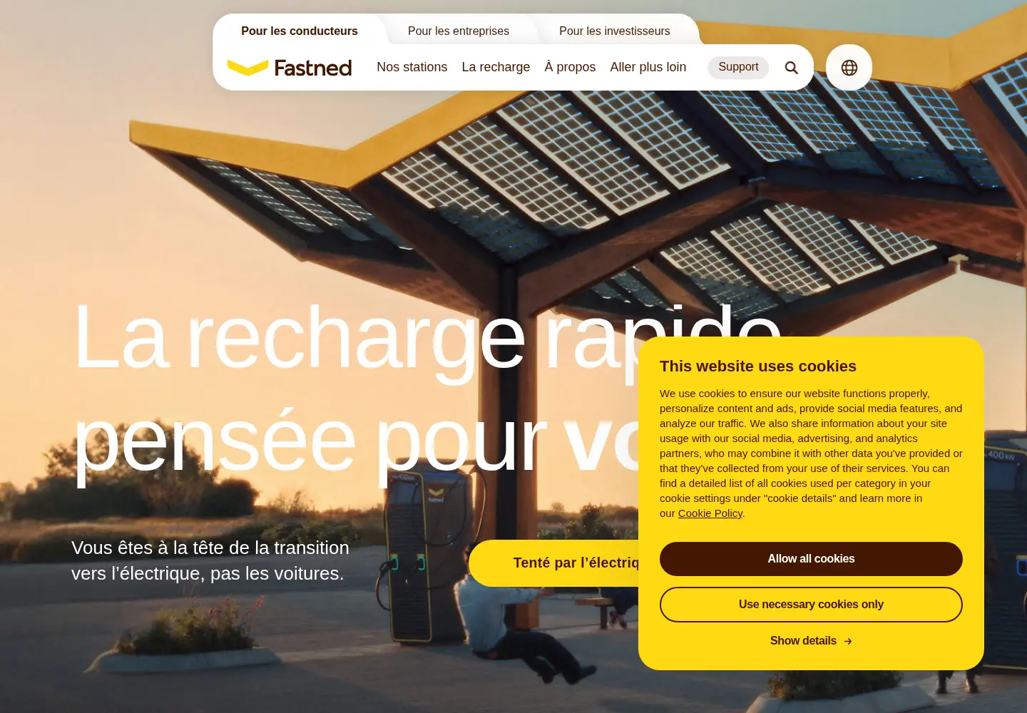 Screenshot of fastnedcharging.com