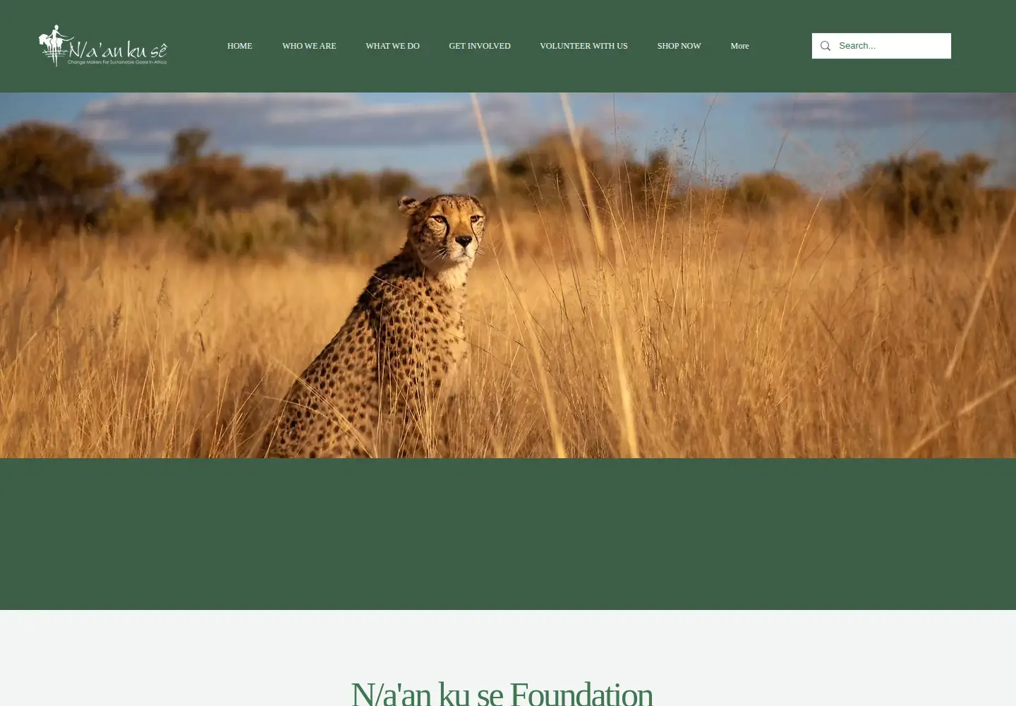Captured homepage of naankuse.com in the current scan