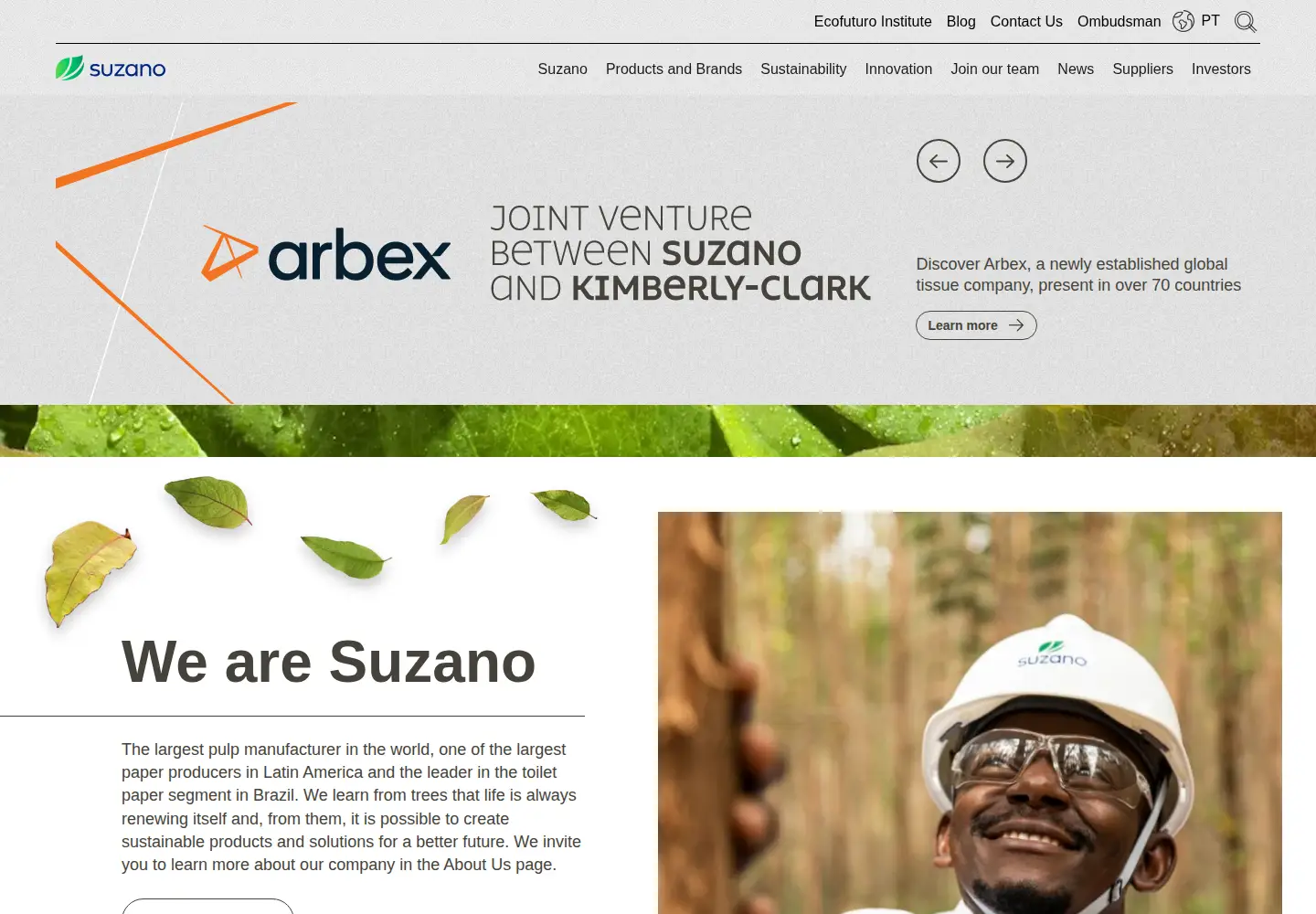 Screenshot of suzano.com.br