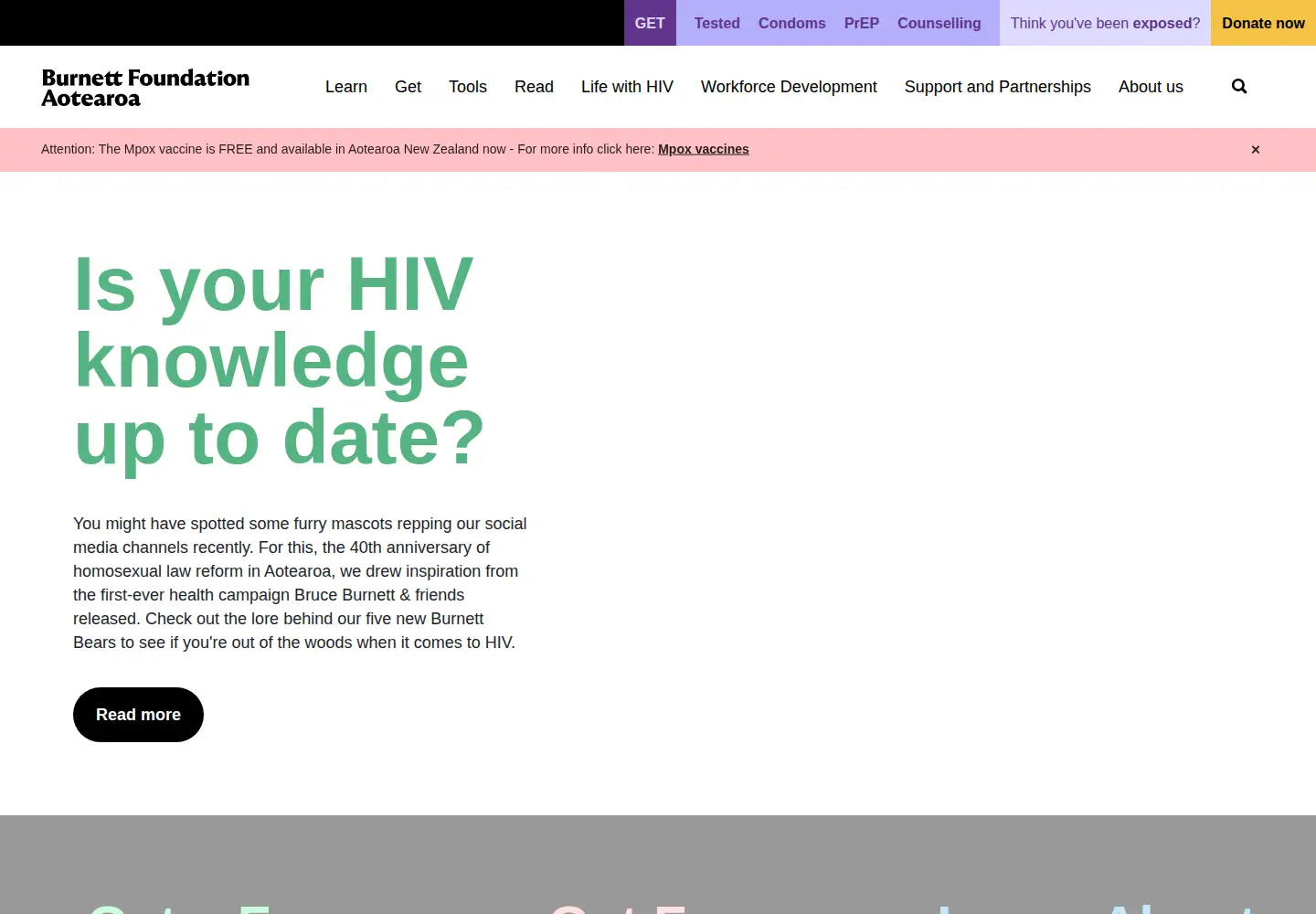Screenshot of burnettfoundation.org.nz