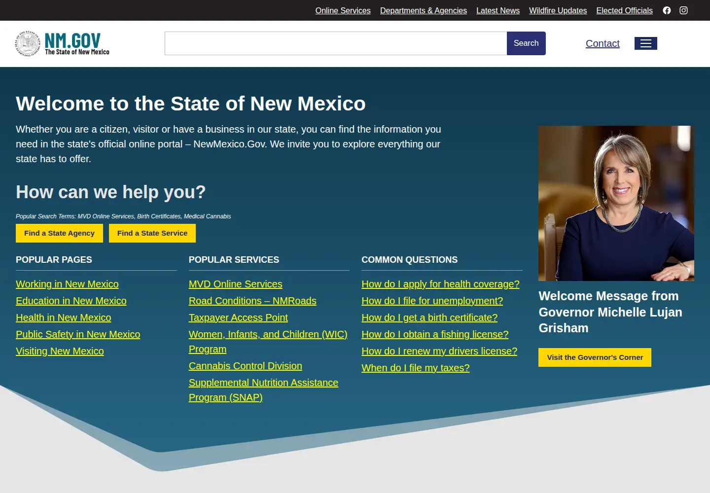 Screenshot of nm.gov