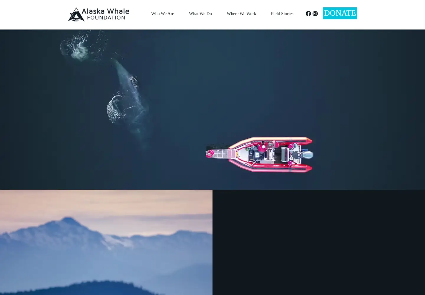 Screenshot of alaskawhalefoundation.org