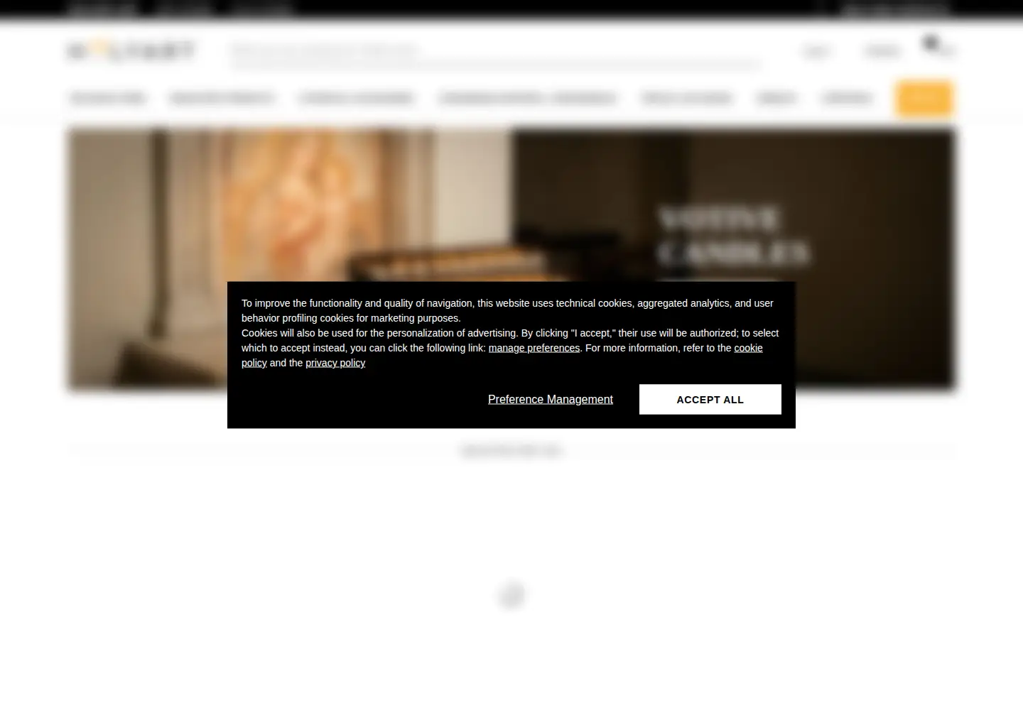 Captured homepage of holyart.com in the current scan