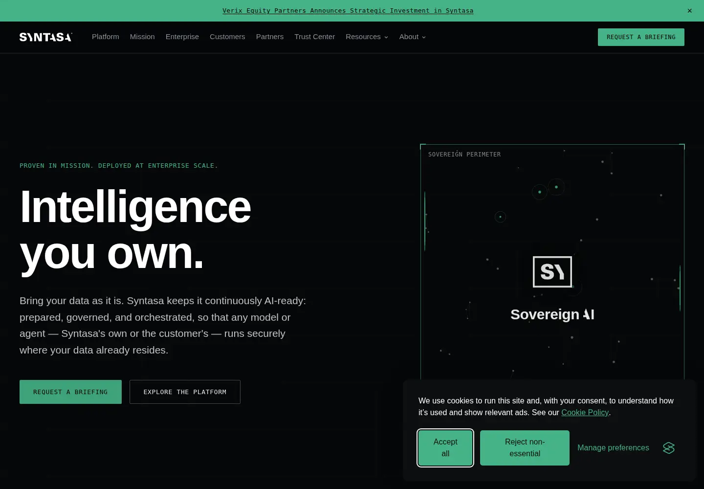 Screenshot of syntasa.com