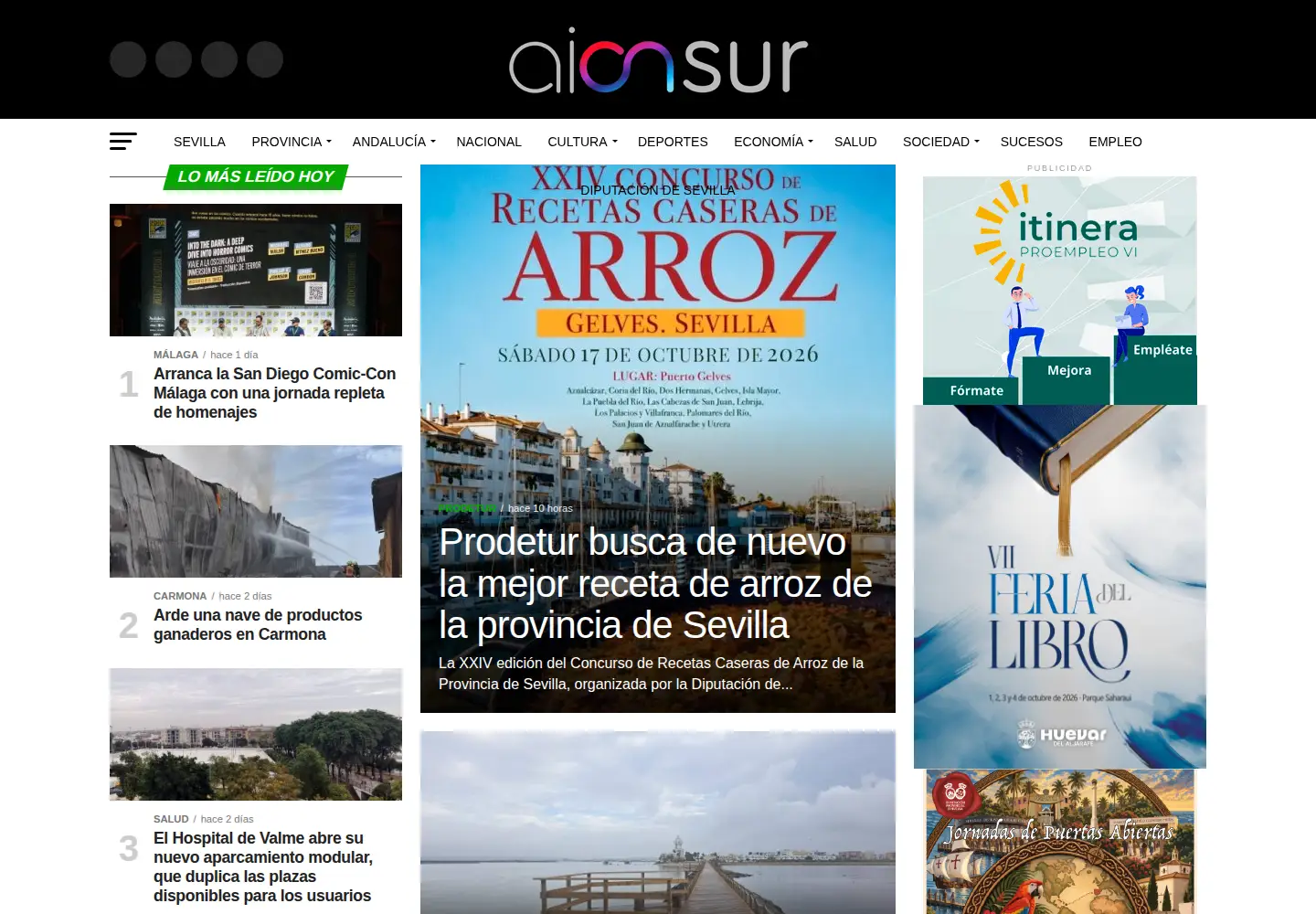 Screenshot of aionsur.com