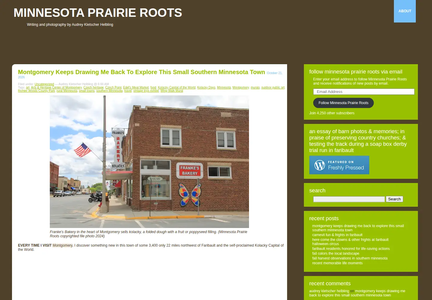 Screenshot of mnprairieroots.com