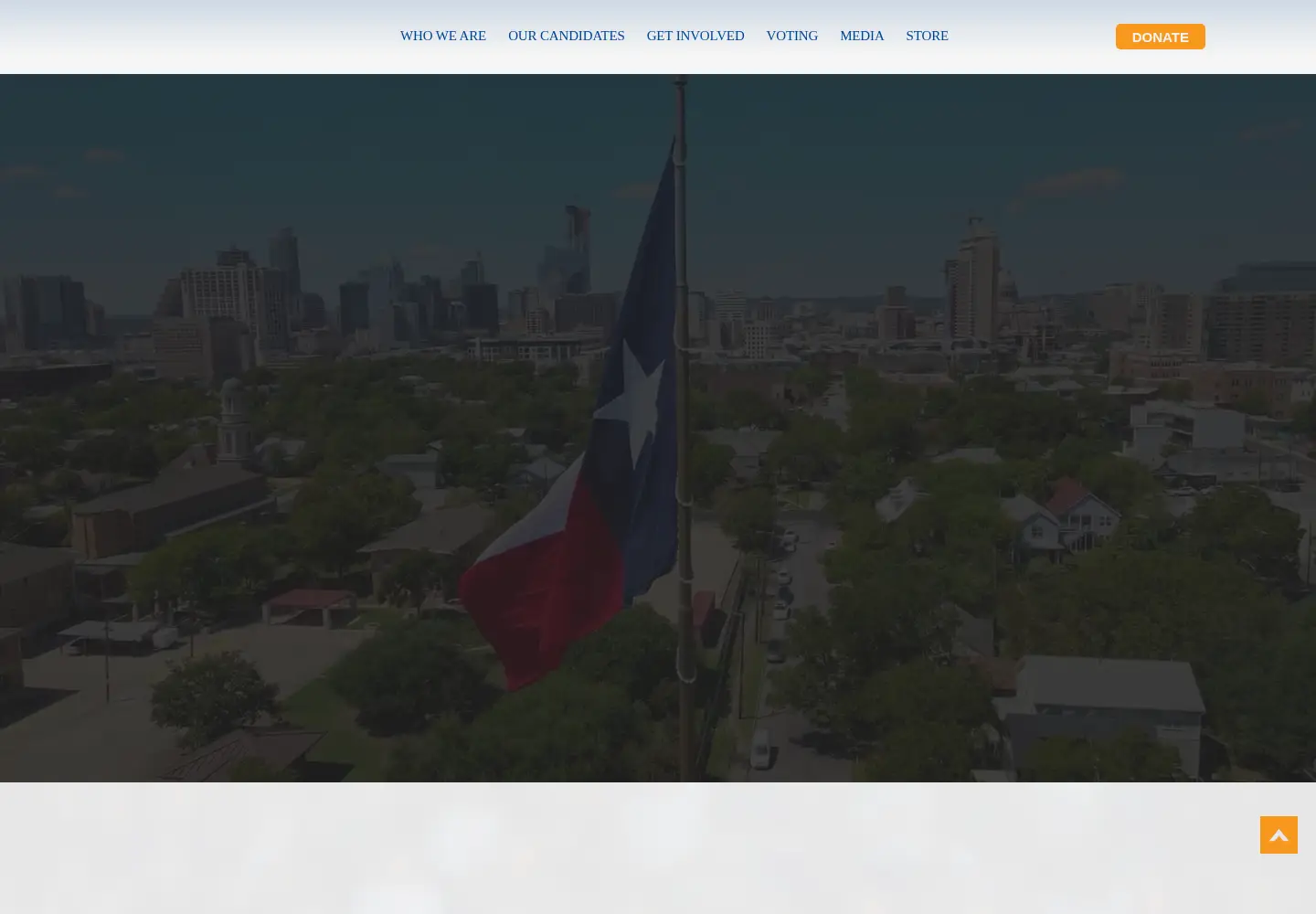Screenshot of txdemocrats.org