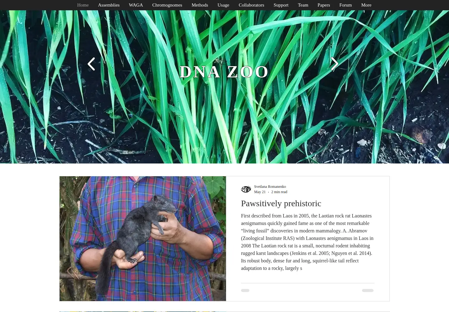 Screenshot of dnazoo.org