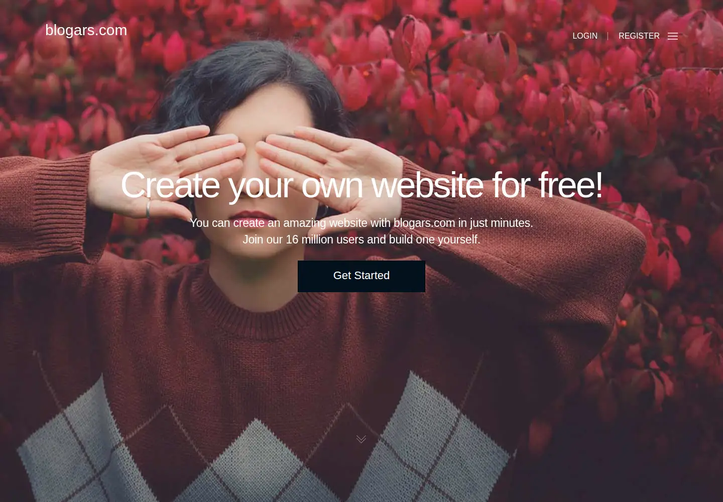 Screenshot of blogars.com
