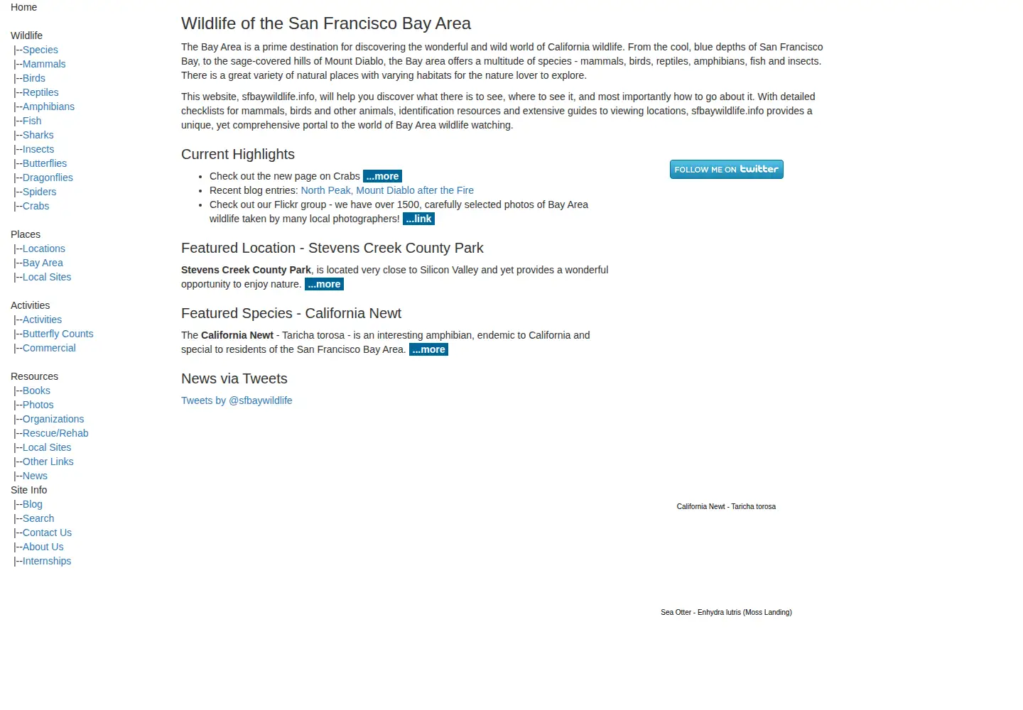 Screenshot of sfbaywildlife.info