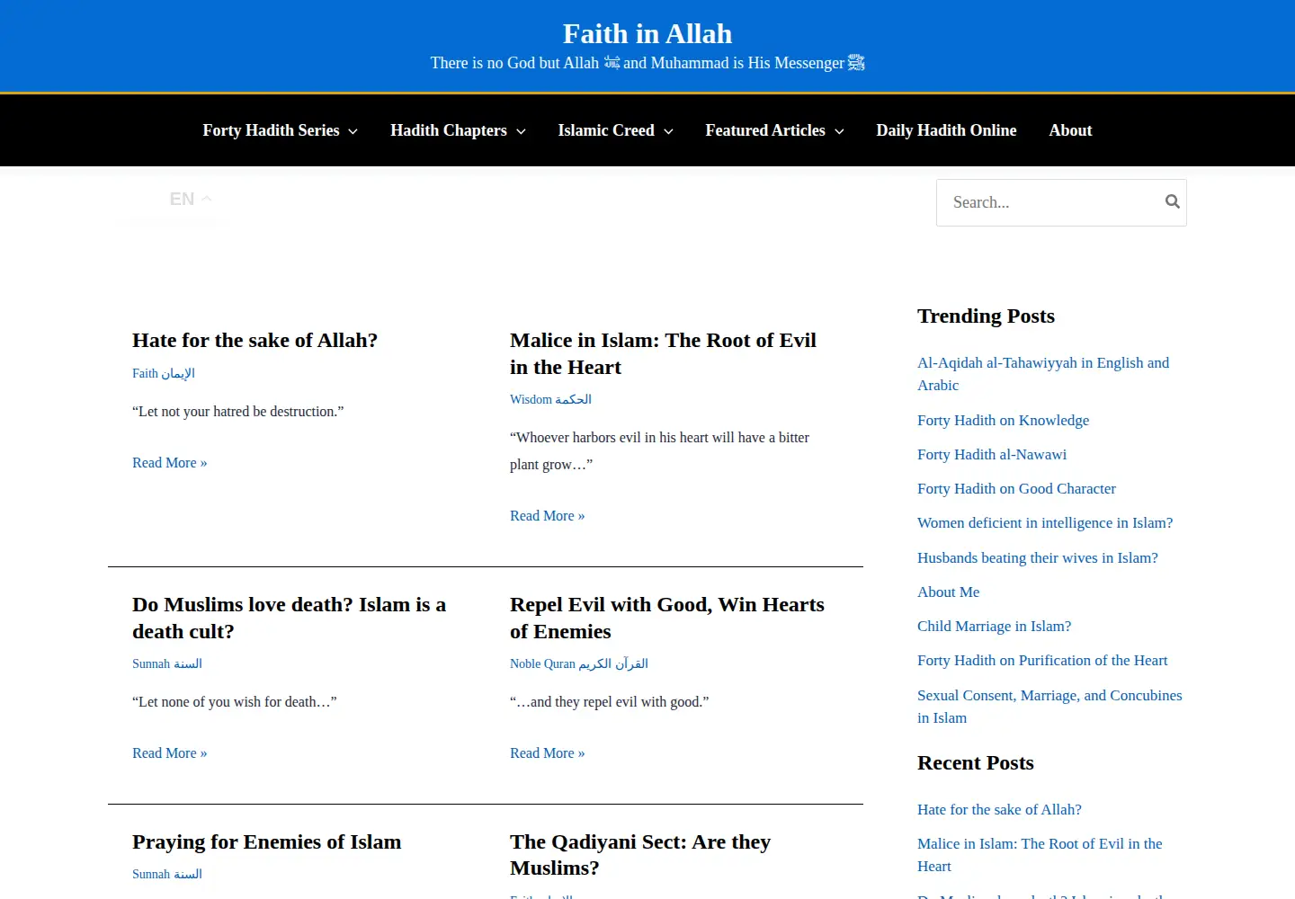 Captured homepage of abuaminaelias.com in the current scan