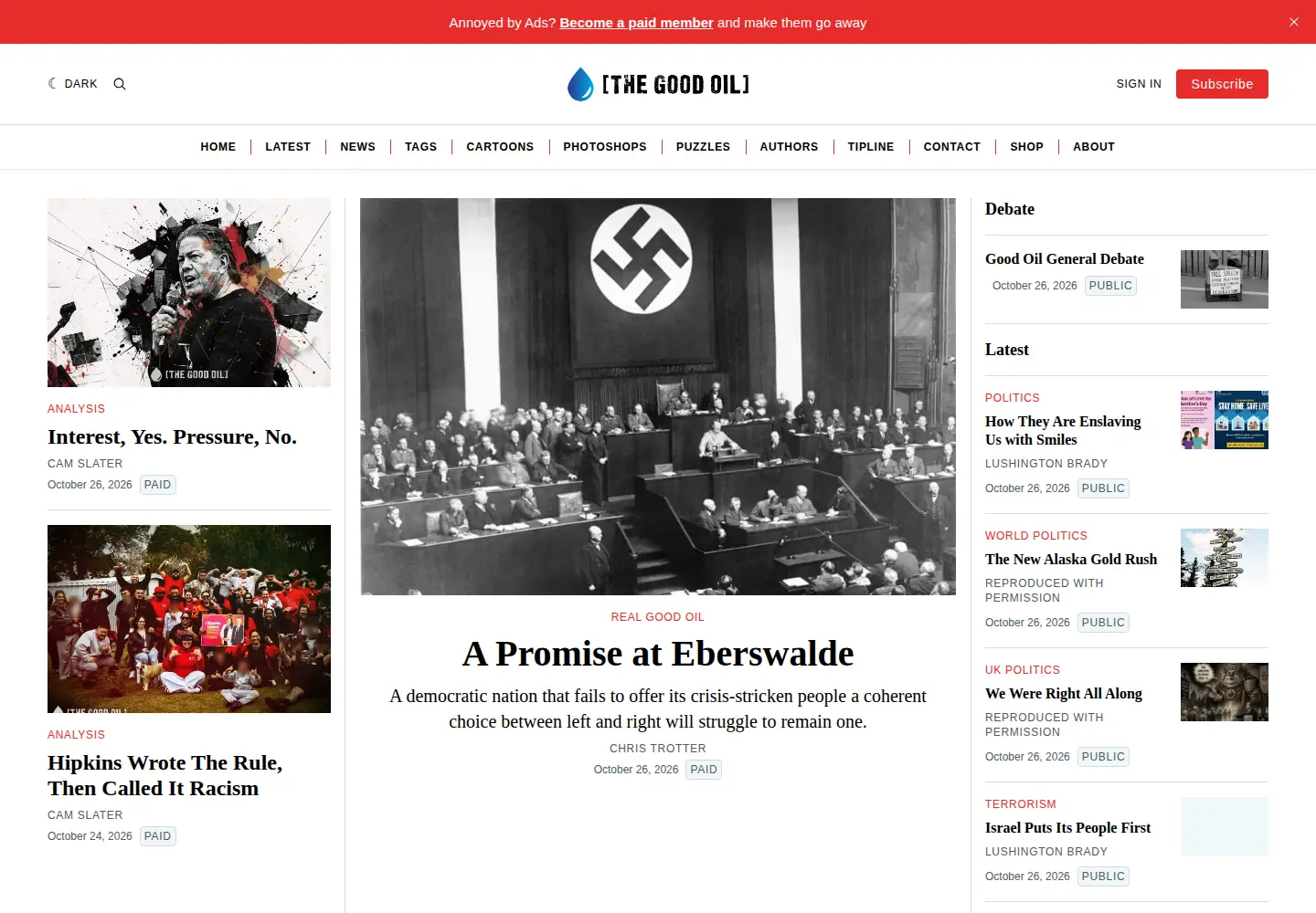Captured homepage of thebfd.co.nz in the current scan