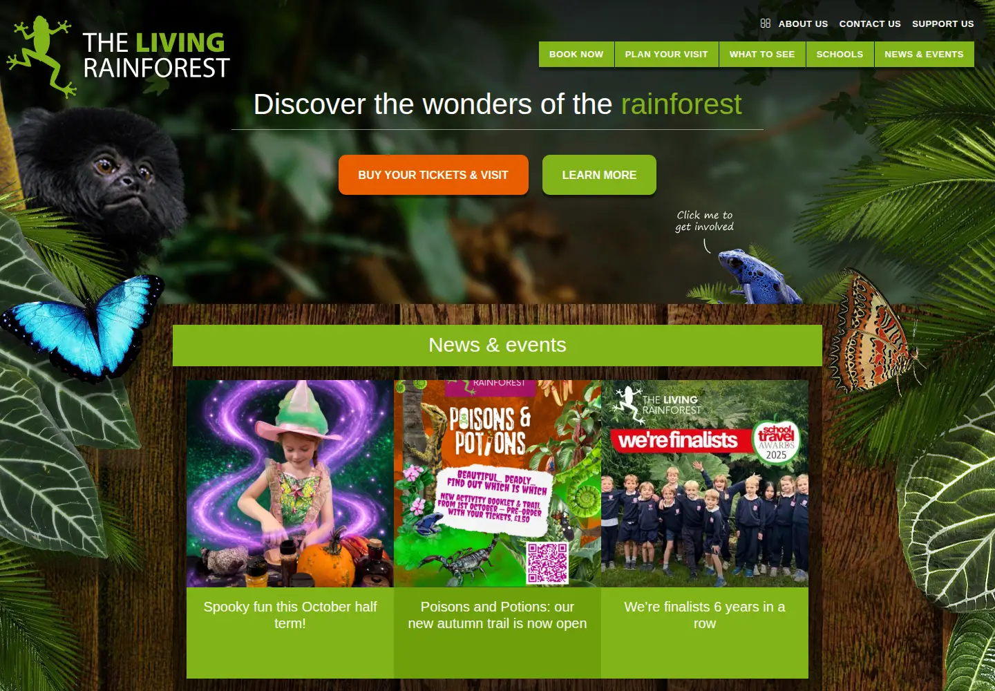 Screenshot of livingrainforest.org