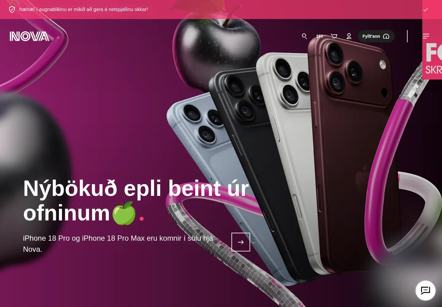 Captured homepage of nova.is in the current scan