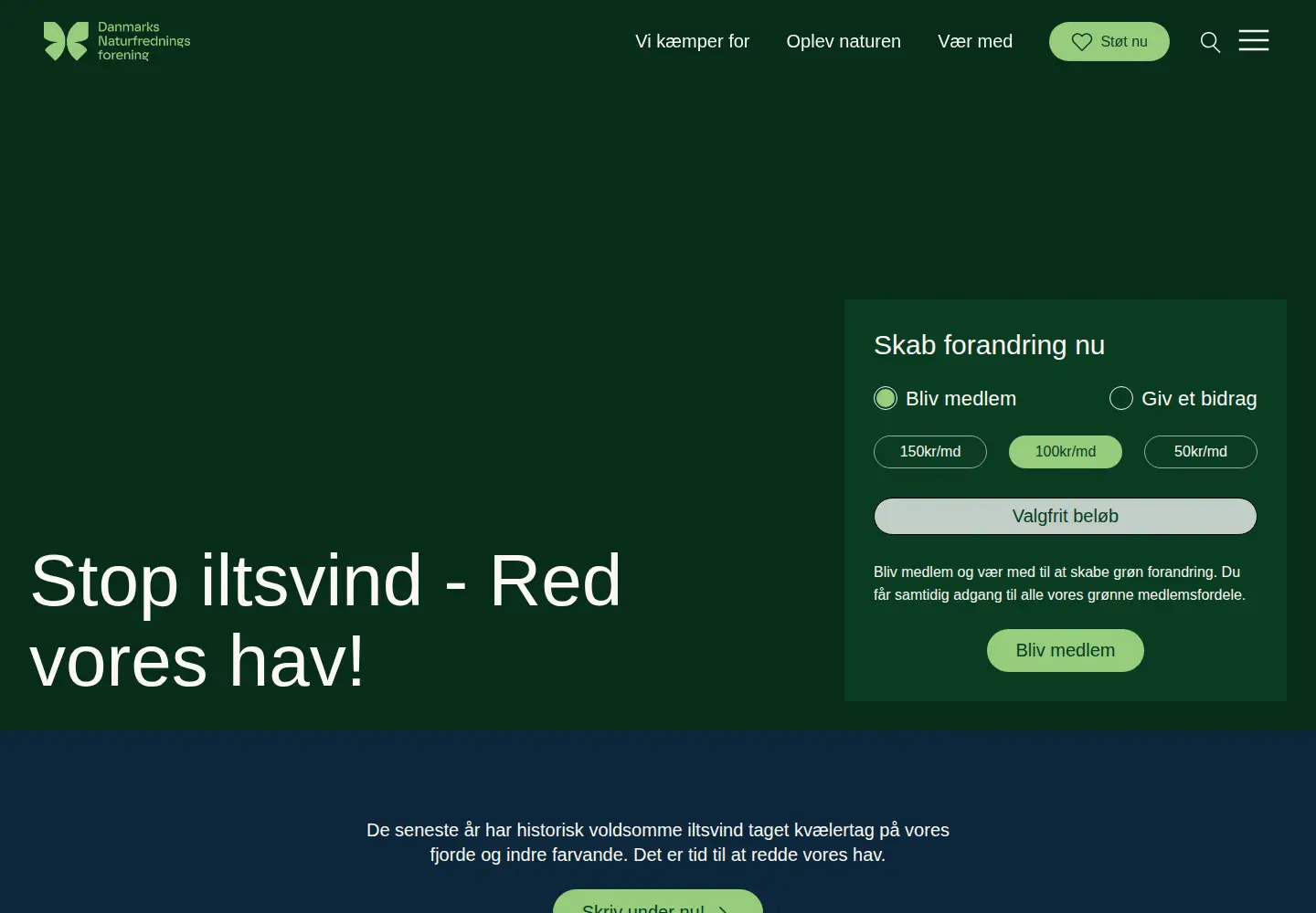 Screenshot of dn.dk