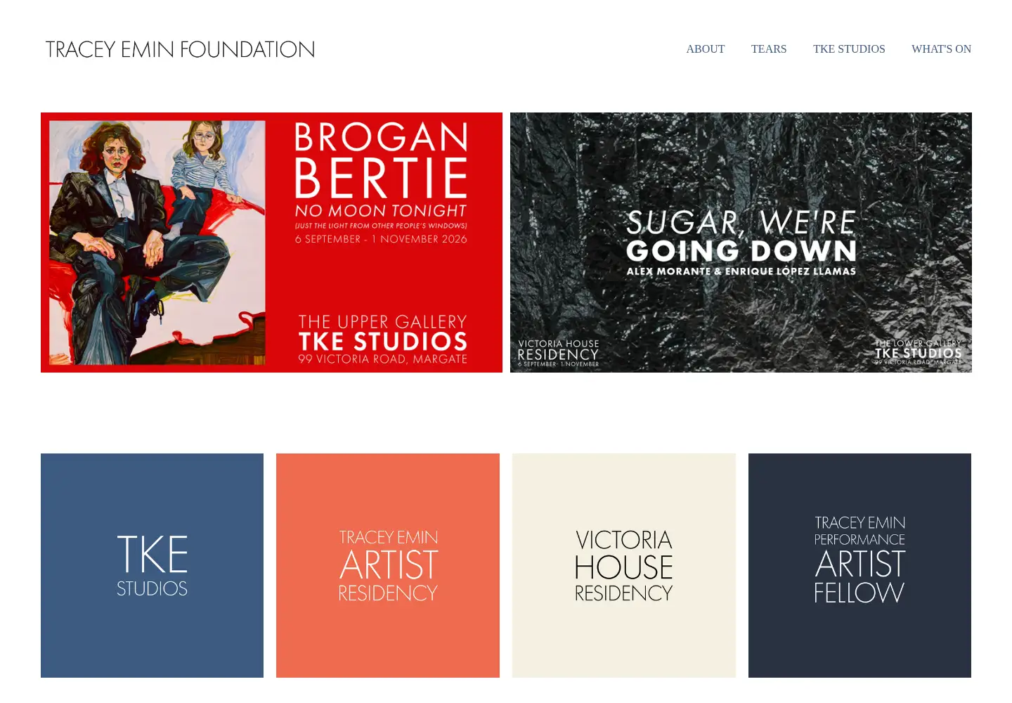 Screenshot of traceyeminfoundation.com
