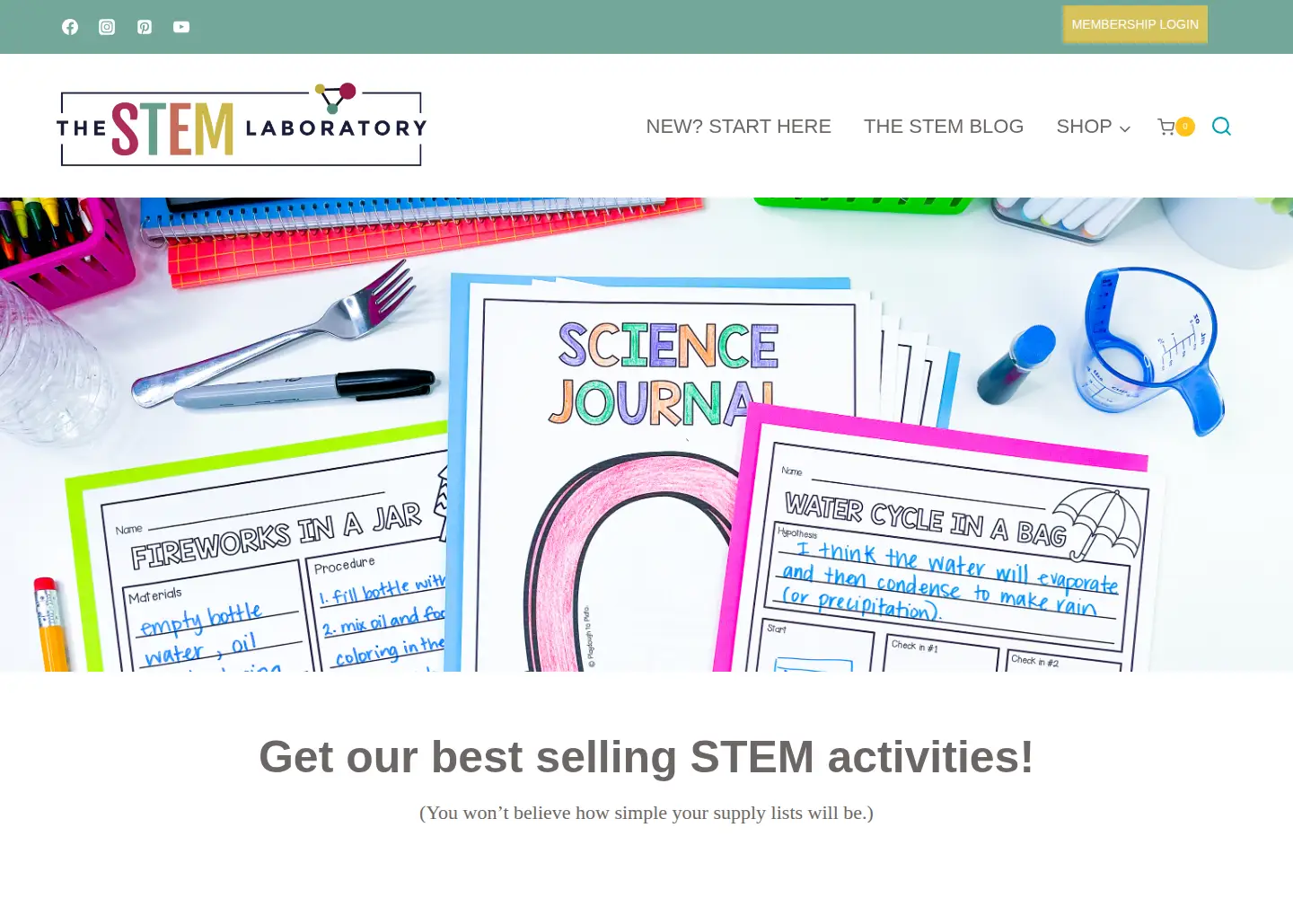 Screenshot of thestemlaboratory.com