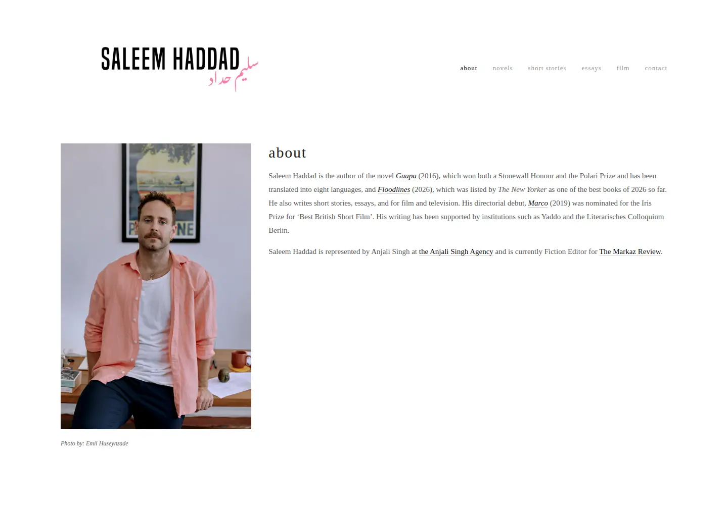 Captured homepage of saleemhaddad.com in the current scan