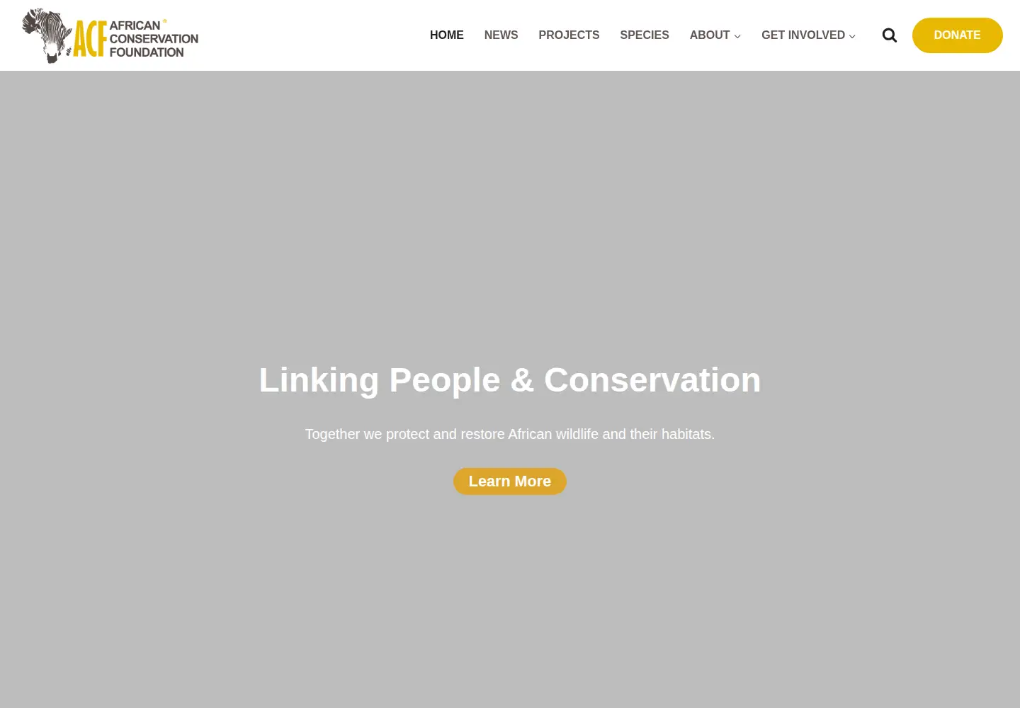 Screenshot of africanconservation.org