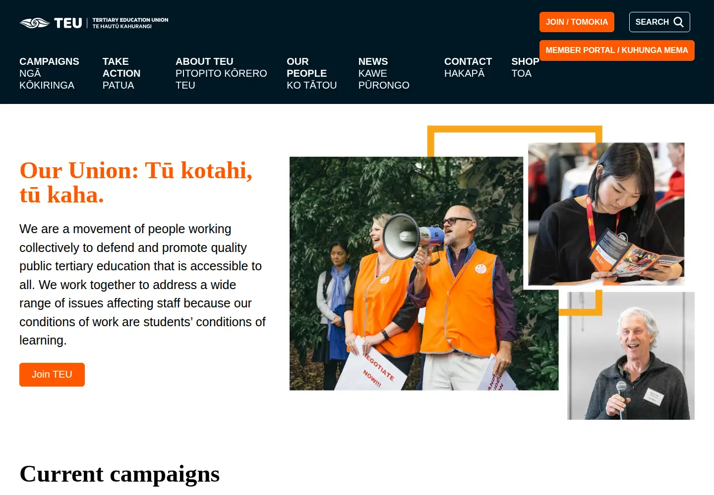 Captured homepage of teu.ac.nz in the current scan