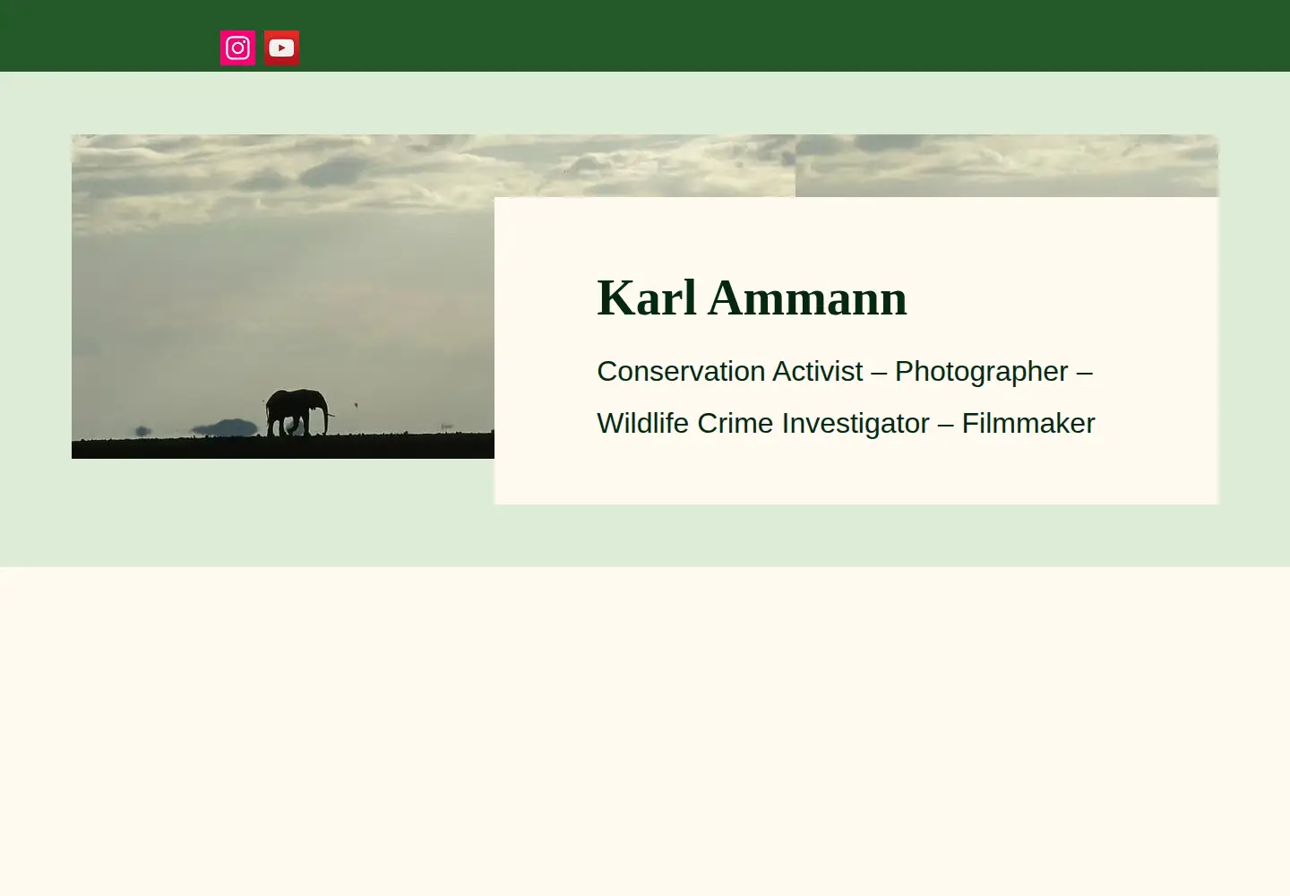 Screenshot of karlammann.com