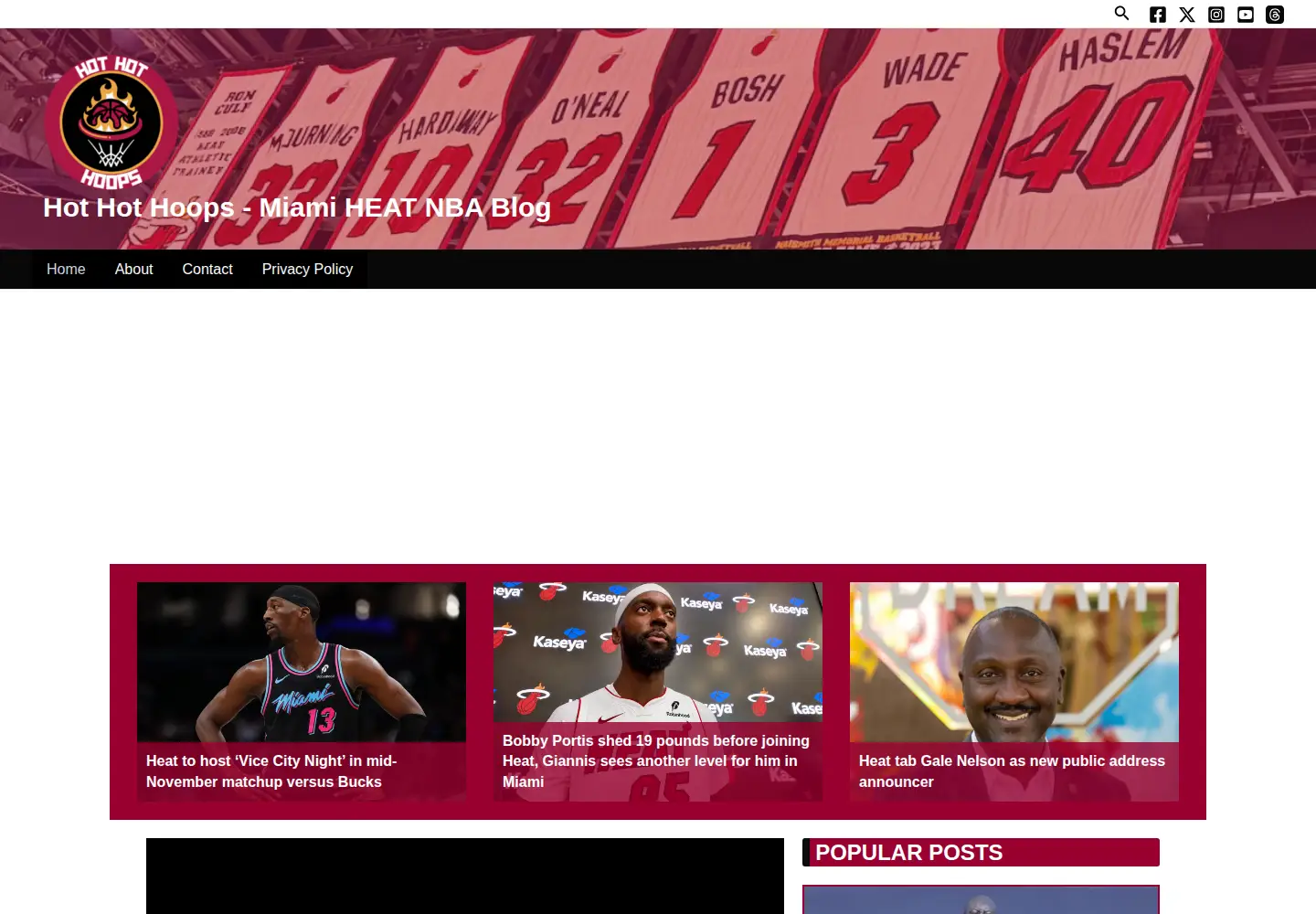 Screenshot of hothothoops.com
