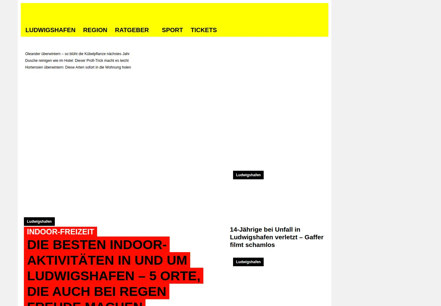 Captured homepage of ludwigshafen24.de in the current scan