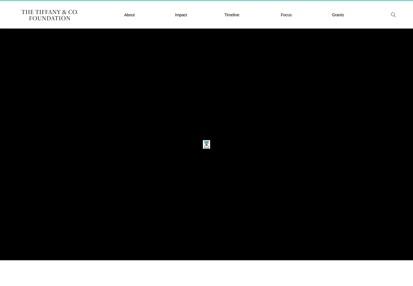 Screenshot of tiffanyandcofoundation.org