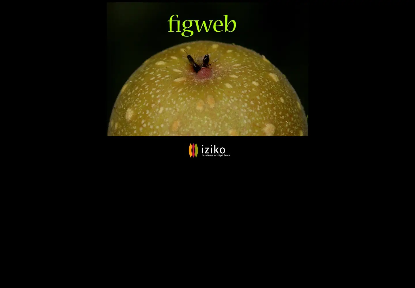 Screenshot of figweb.org
