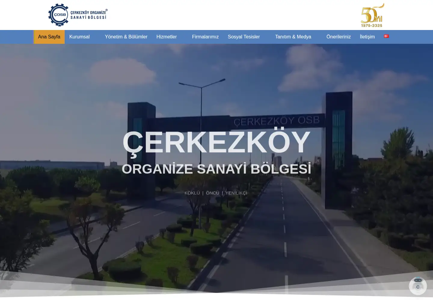 Screenshot of cosb.org.tr