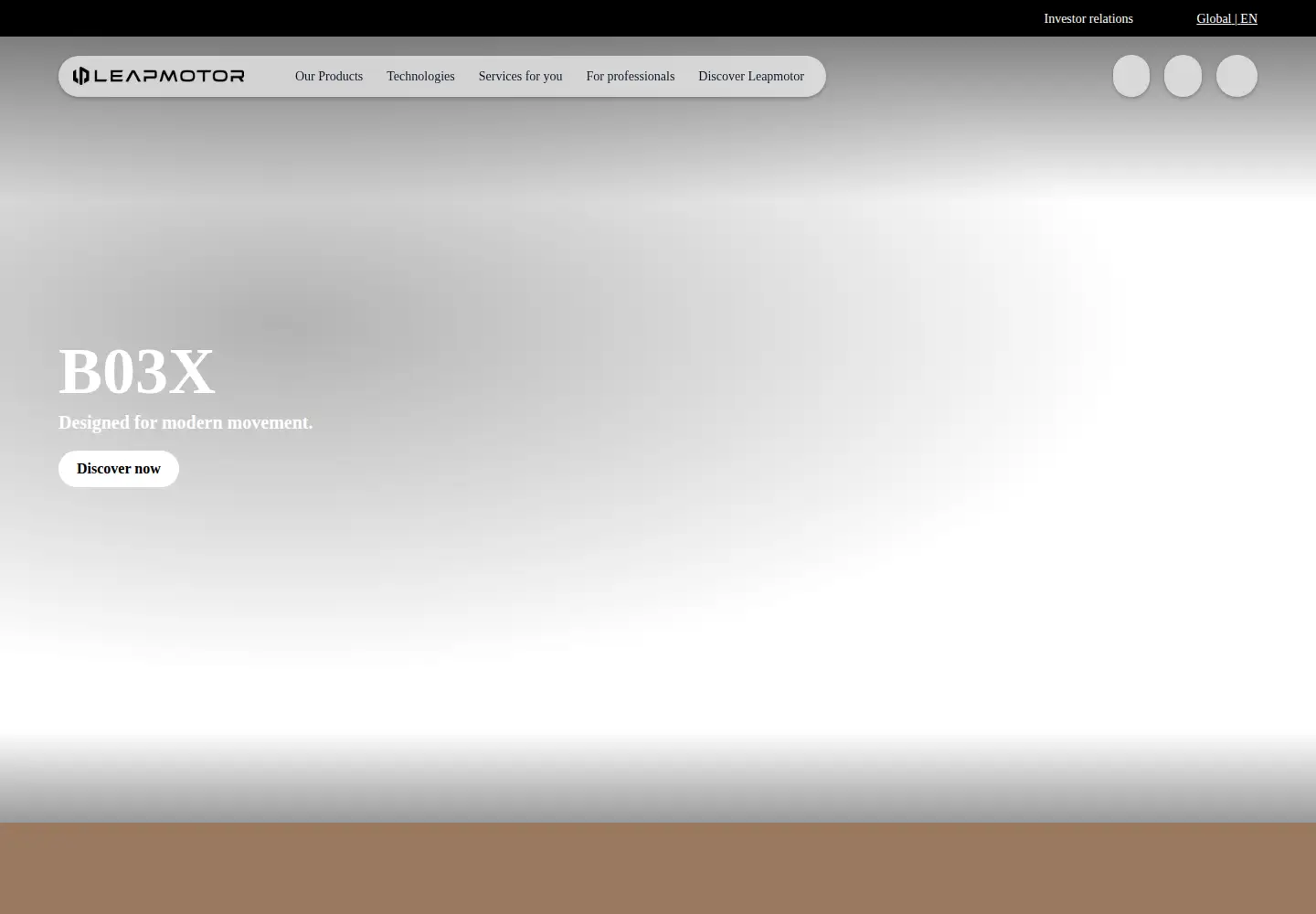Captured homepage of leapmotor.net in the current scan