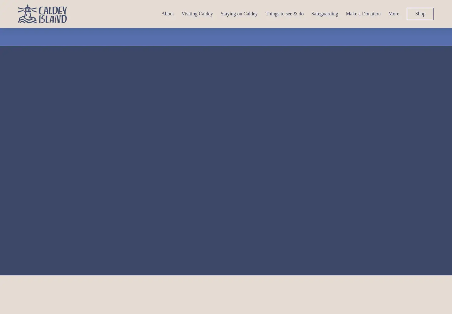 Screenshot of caldeyislandwales.com