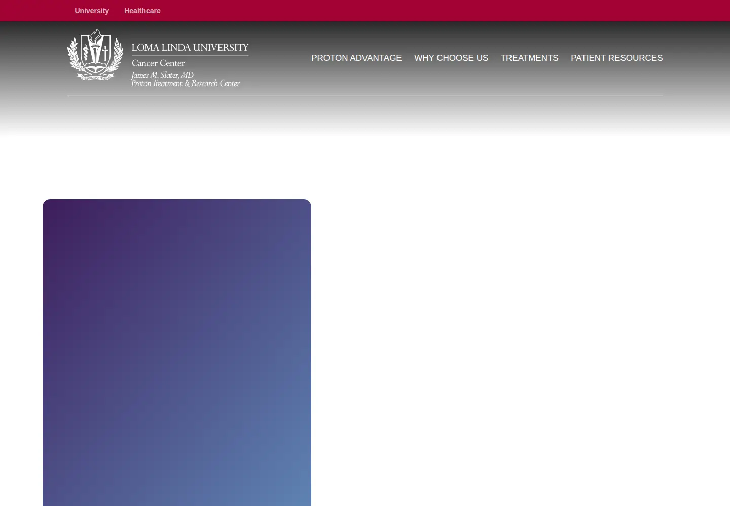 Captured homepage of protons.com in the current scan