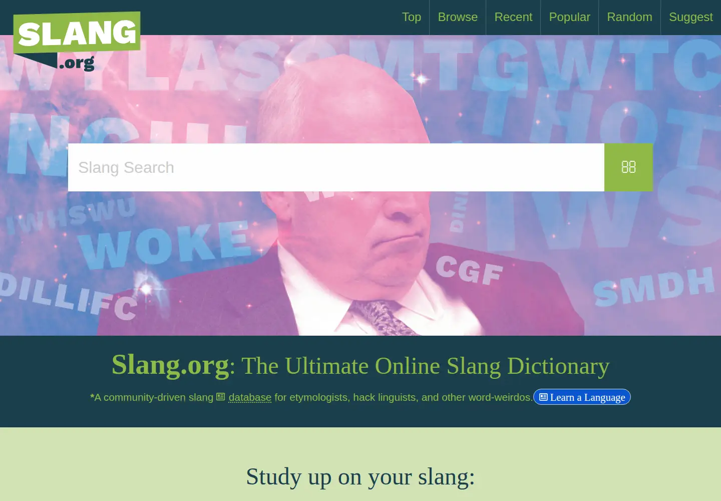 Captured homepage of slang.org in the current scan