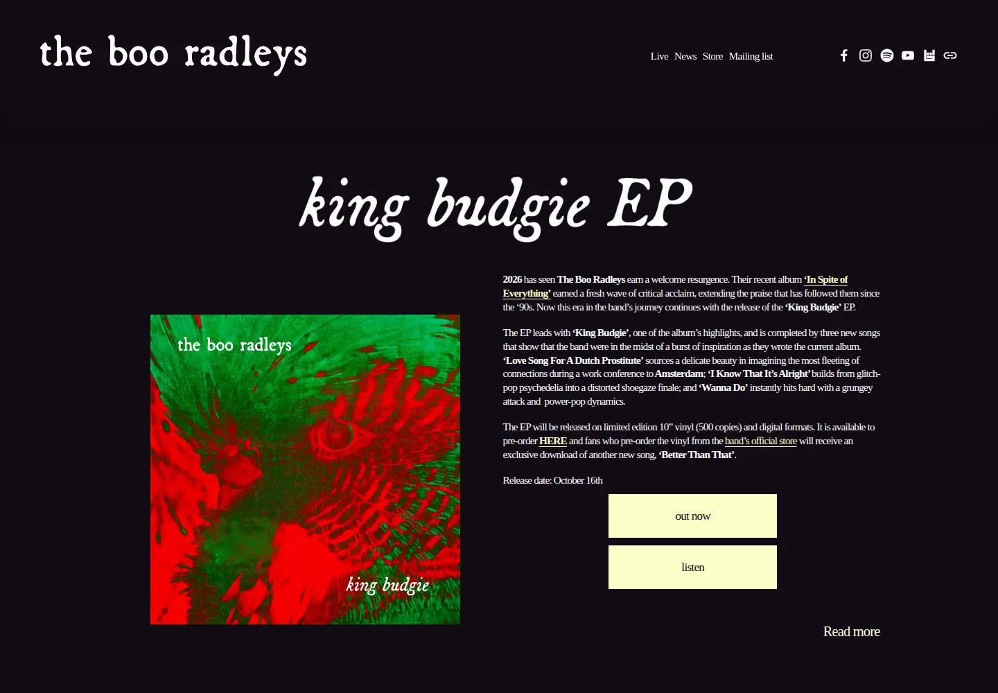Screenshot of thebooradleys.com