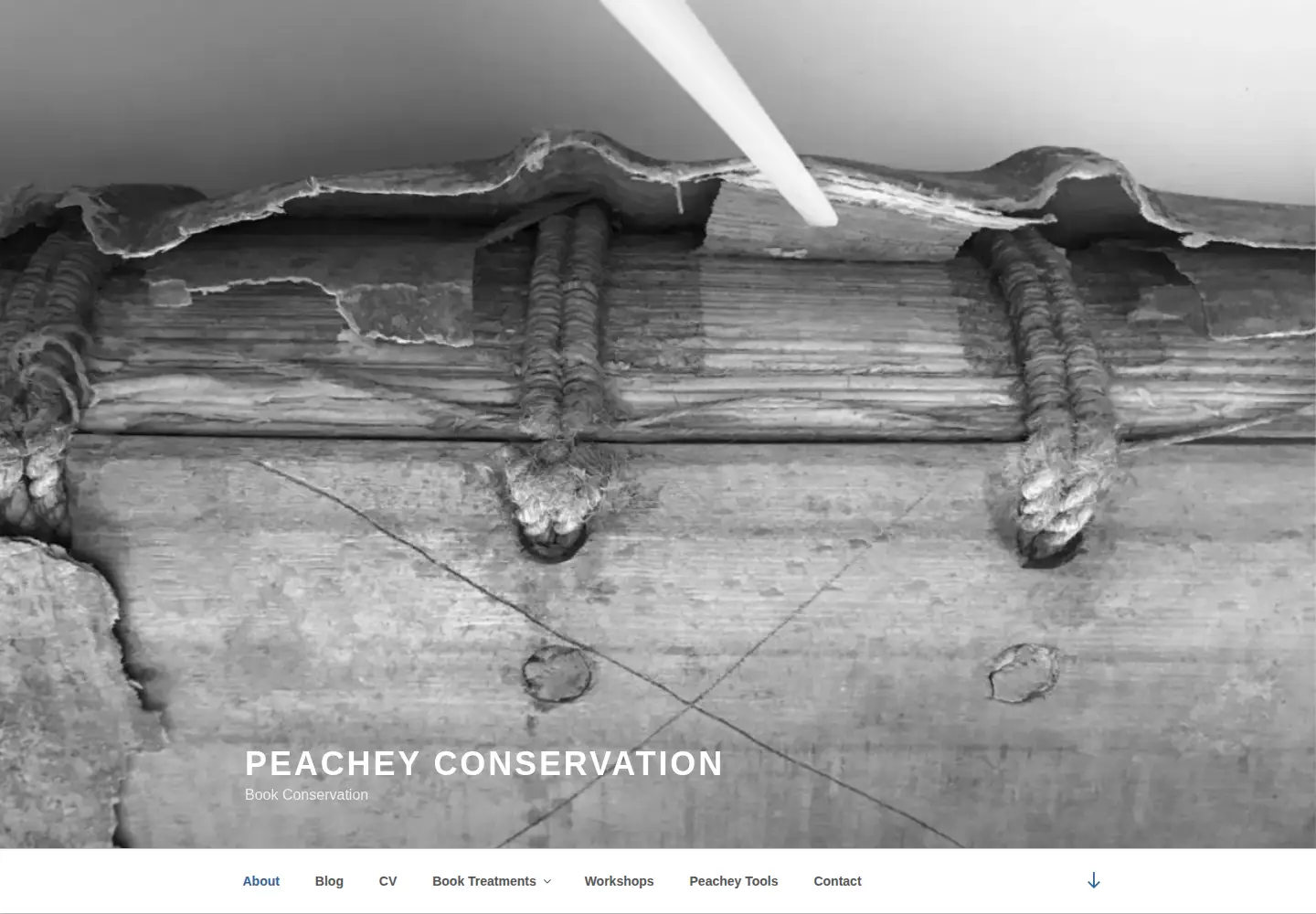 Captured homepage of jeffpeachey.com in the current scan