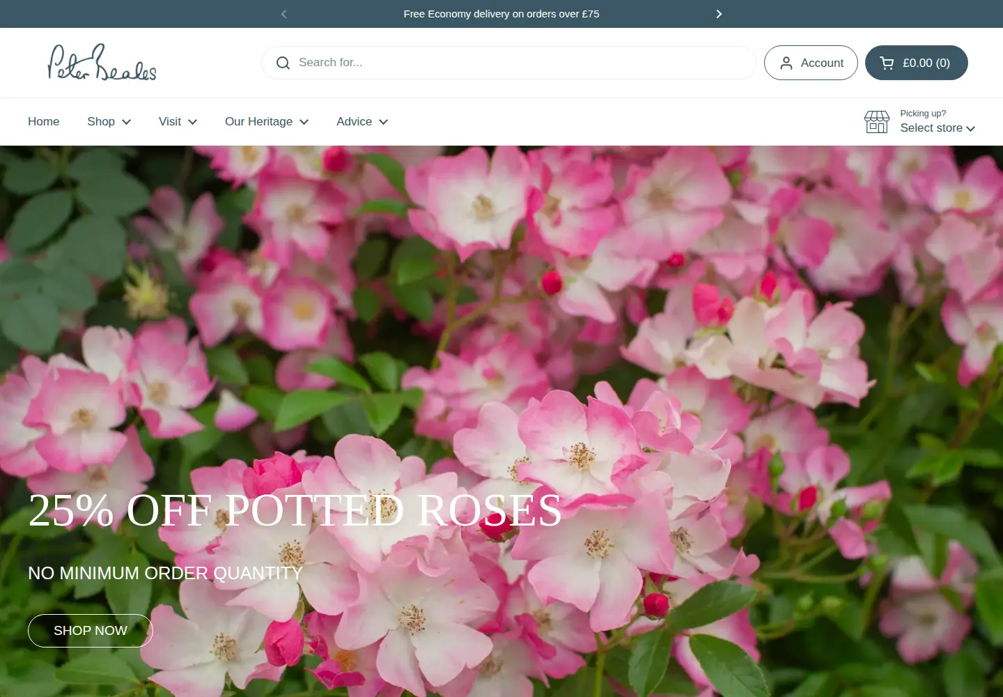 Captured homepage of classicroses.co.uk in the current scan
