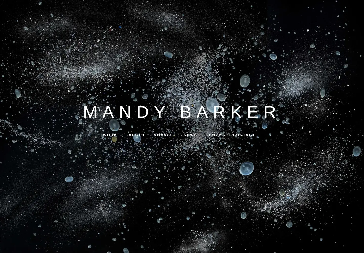 Captured homepage of mandy-barker.com in the current scan